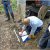 Fotogallerij &raquo; Diversen &raquo; Roofvogels ringen Rollekotsbos Grimbergen 25-05-2014
